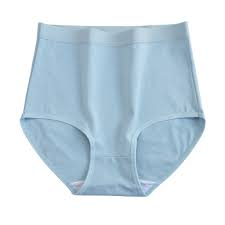 FlaxyWear Seamless Cotton Panty Set for DailyWear – Soft Breathable Everyday Comfort